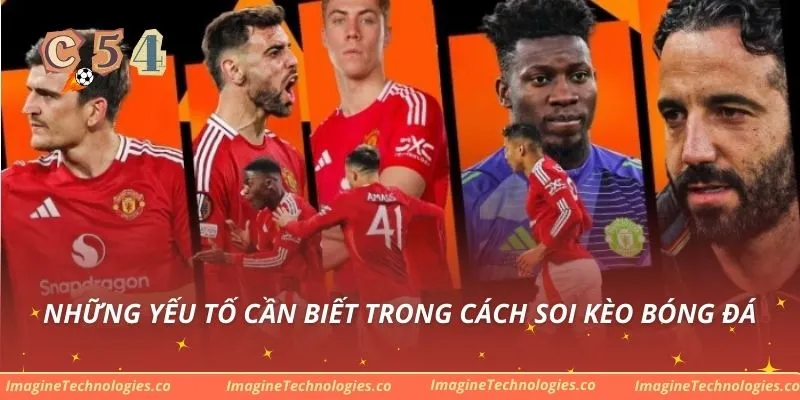 Những yếu tố cần biết trong cách soi kèo bóng đá